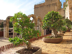 Girona Temps de Flors 2014. El Museu d'Hist&ograve;ria
