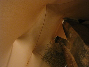 Girona Temps de Flors 2014. El Museu d'Hist&ograve;ria