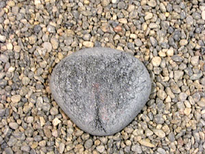 Girona Temps de Flors 2014. El Museu d'Hist&ograve;ria