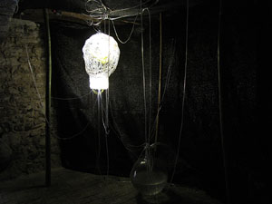 Girona Temps de Flors 2014. La Casa Lle&oacute; Avinay