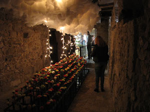 Girona Temps de Flors 2014. La Casa Lle&oacute; Avinay