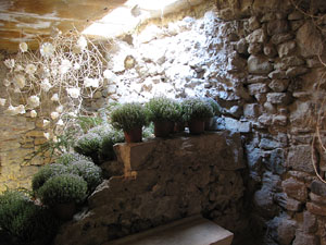 Girona Temps de Flors 2014. La Casa Lle&oacute; Avinay