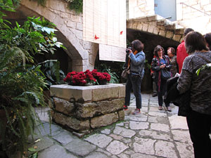 Girona Temps de Flors 2014. La Casa Lle&oacute; Avinay