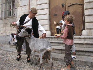 VI Festa Reviu els Setges Napole&ograve;nics de Girona