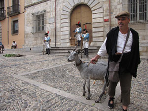 VI Festa Reviu els Setges Napole&ograve;nics de Girona
