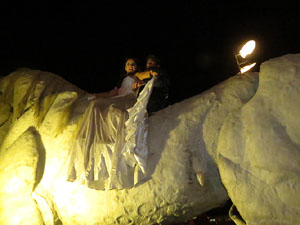 Fires de Girona 2014. Espectacle la bella i les bèsties, a càrrec de Carros de Foc