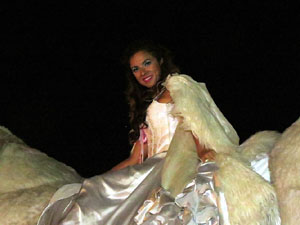 Fires de Girona 2014. Espectacle la bella i les bèsties, a càrrec de Carros de Foc