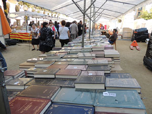 Fires 2014 a Girona. Miscel·lània d'imatges de Fires de Sant Narcís