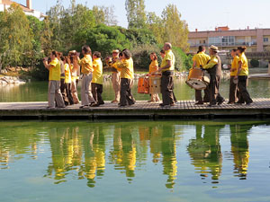 Fires de Girona 2014. La trobada de gegants: la cercavila
