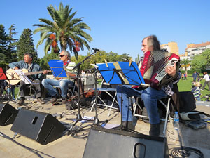Fires de Girona 2014. La trobada de gegants: la plantada