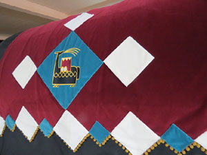 Fires de Girona 2014. Presentaci&oacute; de la Mula Baba amb la Girona Marxing Band