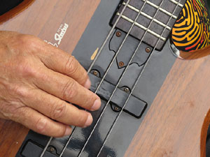 Fires de Sant Narcís 2014. Actuació de Pexsom Blues