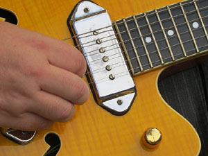 Fires de Sant Narcís 2014. Actuació de Pexsom Blues