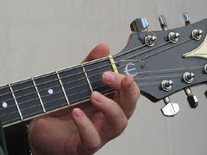 Fires de Sant Narcís 2014. Actuació de Pexsom Blues