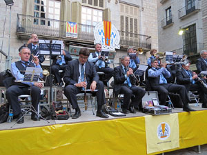 Fires de Sant Narcís 2014. Ballades de sardanes