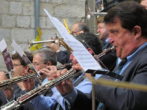 Fires de Sant Narcís 2014. Ballades de sardanes
