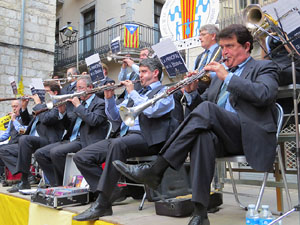 Fires de Sant Narcís 2014. Ballades de sardanes