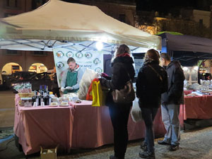 Girona10. Miscel&middot;l&agrave;nia d'imatges