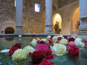 Girona10. Miscel&middot;l&agrave;nia d'imatges