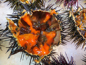 Girona10. Mercat del Lle&oacute;. Tastets gastron&ograve;mics