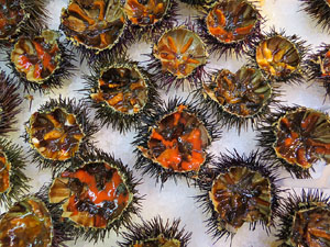 Girona10. Mercat del Lle&oacute;. Tastets gastron&ograve;mics