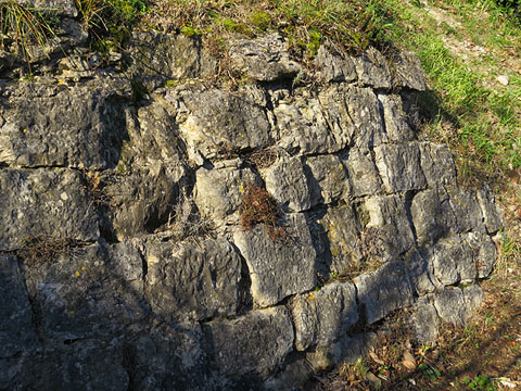 Restes de la base de la torre medieval