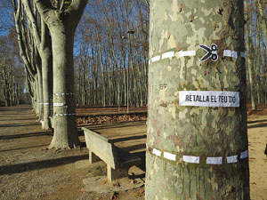 Nadal 2014 a Girona. Miscel&middot;l&agrave;nia d'imatges