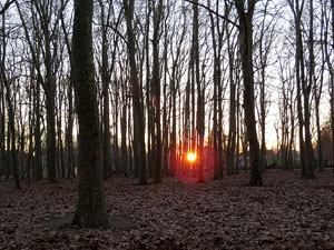 Nadal 2014 a Girona. Miscel&middot;l&agrave;nia d'imatges