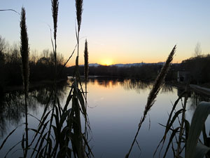 Nadal 2014 a Girona. Miscel&middot;l&agrave;nia d'imatges