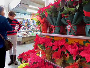 Nadal 2014 a Girona. La decoraci&oacute; nadalenca del Mercat del Lle&oacute;