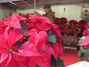 Nadal 2014 a Girona. Els mercats de Nadal. Firanadal, mercat del Cul de la Lleona, de la pla&ccedil;a Catalunya... 