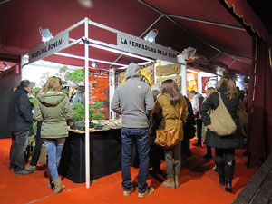 Nadal 2014 a Girona. Els mercats de Nadal. Firanadal, mercat del Cul de la Lleona, de la pla&ccedil;a Catalunya... 