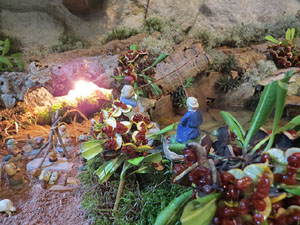 Nadal 2014 a Girona. Pessebres a les botigues