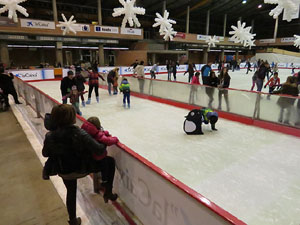 Nadal 2014 a Girona. Pista de gel i tobogan a Fira de Girona