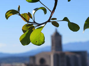 La Torre Suchet