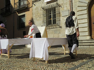 VII Festa Reviu els Setges Napole&ograve;nics de Girona
