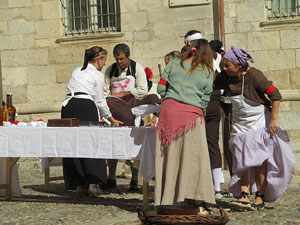 VII Festa Reviu els Setges Napole&ograve;nics de Girona