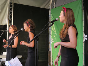 Festival A Capella 2015. Les Anxovetes a la plaça de la Independència