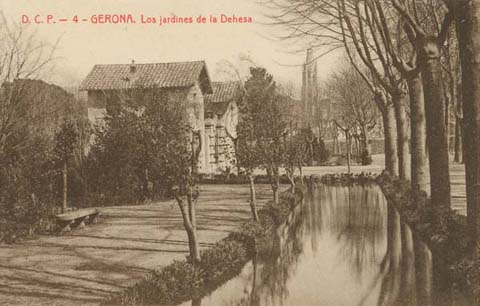 Parc de la Devesa amb la porta d'entrada als jardins a l'esquerra. Al fons, el campanar de l'església de Sant Feliu. 1903