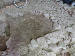 Cases medievals al carrer Ciutadans de Girona. Estudi arqueològic de les restes