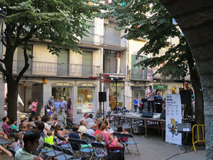 Dia de la M&uacute;sica 2015