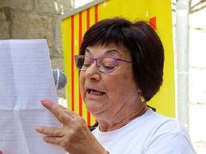 Diada Nacional 2015. Concentraci&oacute; a la pla&ccedil;a del Vi