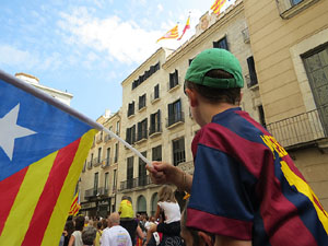 Diada Nacional 2015. Concentraci&oacute; a la pla&ccedil;a del Vi