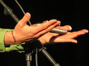 Diada Nacional 2015. Concert a les escales de la Catedral