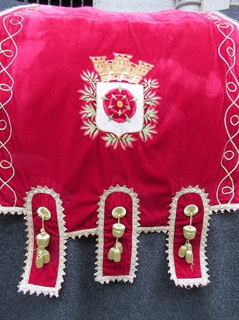 Detall del dom&agrave;s de la Mulassa de Reus