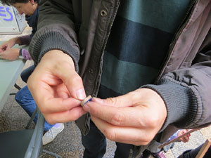 Festes de Primavera de Girona 2015. Taller de Tarlanets a la Rambla de la Llibertat