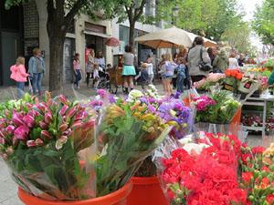 Festes de Primavera de Girona 2015. Espectacle Miss Umbrel&middot;la