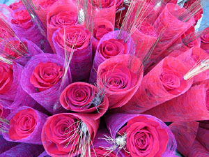 Sant Jordi 2015 a Girona