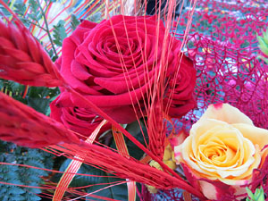 Sant Jordi 2015 a Girona