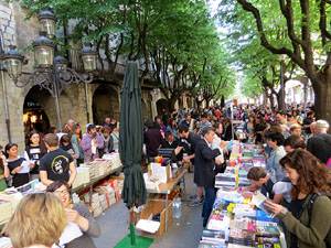 Sant Jordi 2015 a Girona